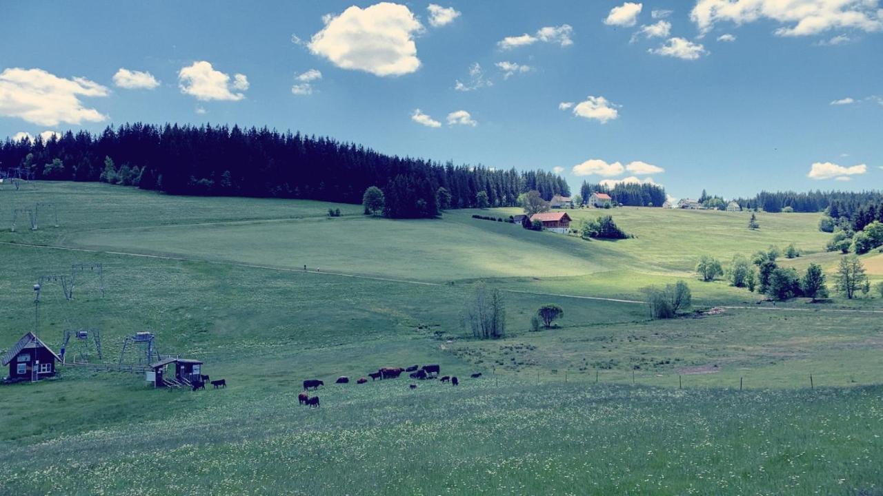 Апартаменты Daheim Im Hirschen Шёнвальд Экстерьер фото